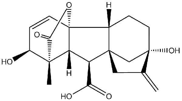 赤霉素GIBBERELLIC ACID，居然有這么神奇？